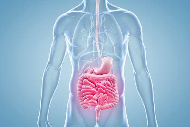 刺身や寿司でお腹が激痛？