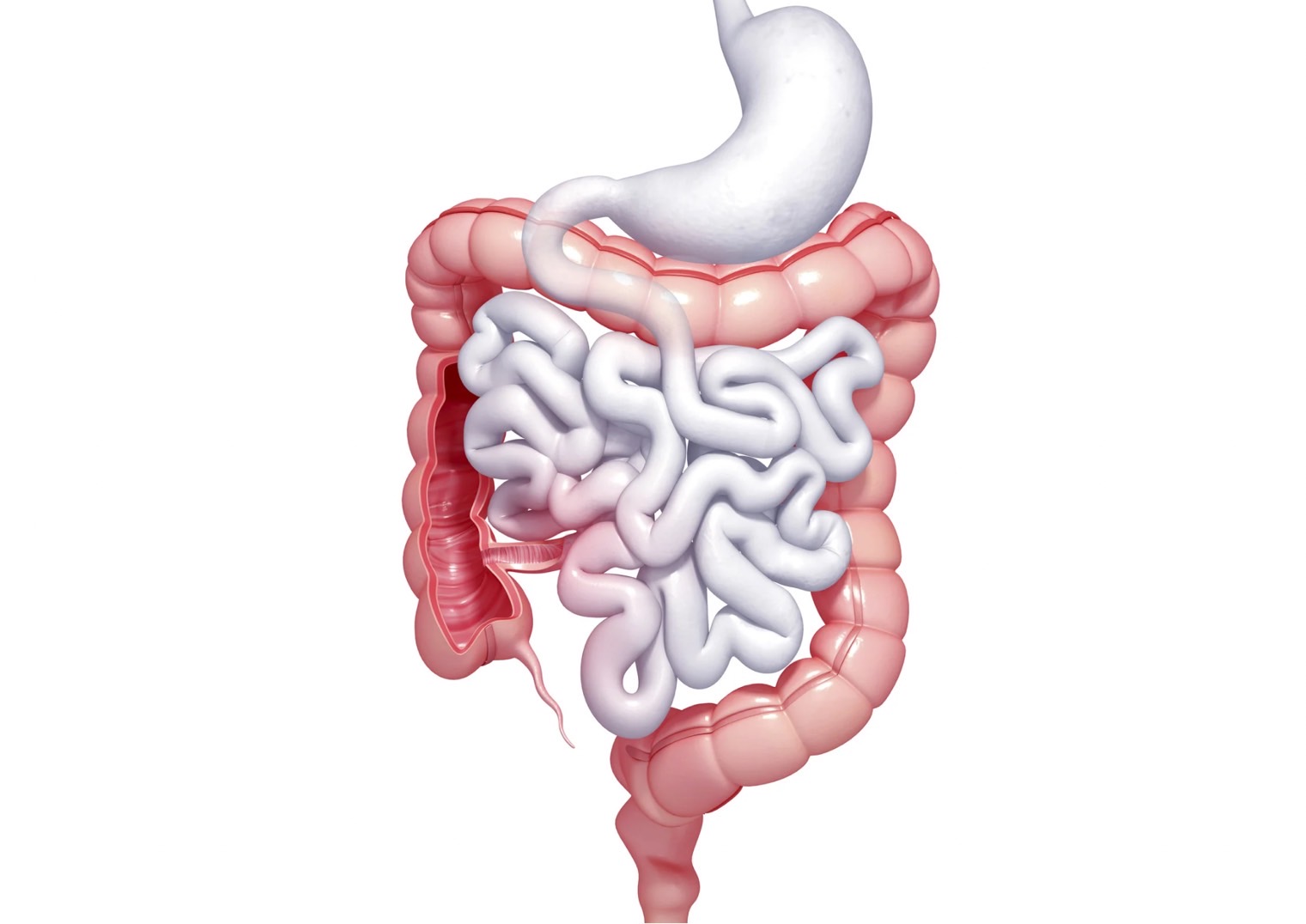 検診で「便潜血陽性」と言われたあなたへ
