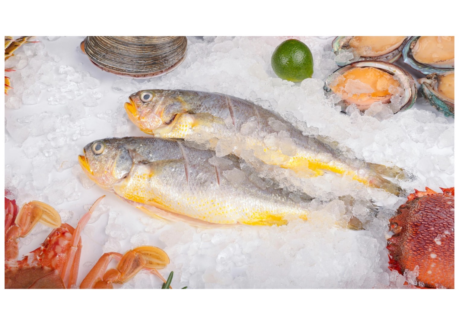 魚で起こる「アレルギーそっくり」の食中毒